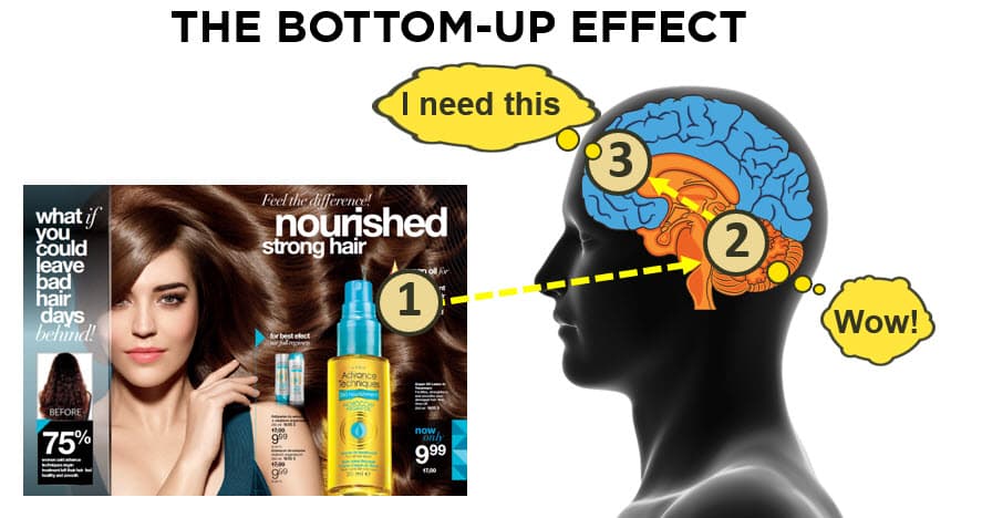 The bottom-up effect: (1) an advertisement enters through the eye, (2) the primal brain reacts first — 'Wow!' — and only then (3) does the rational brain conclude 'I need this'.