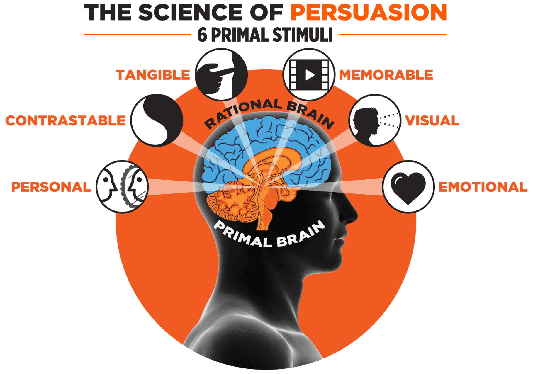 The NeuroMap model: six primal stimuli arranged around the primal and rational brain